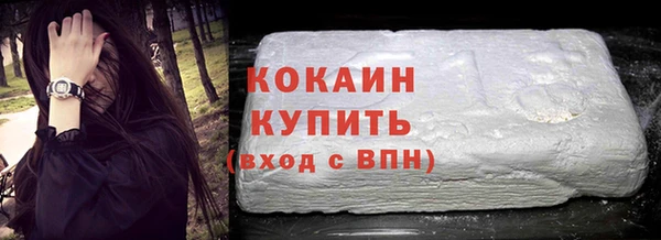 гашик Дмитров