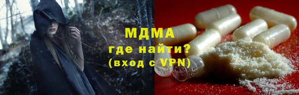 гашик Дмитров