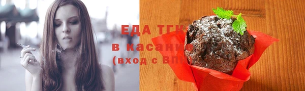 гашик Дмитров