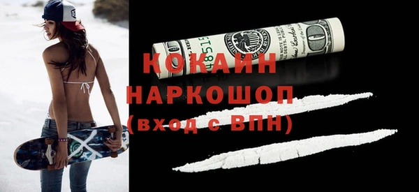 гашик Дмитров