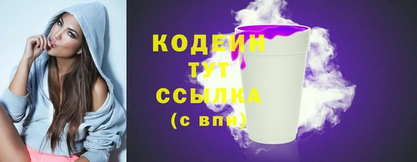 гашик Дмитров