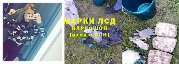 гашик Дмитров