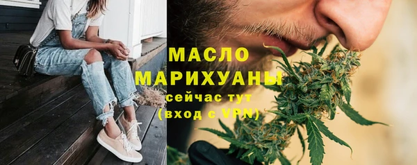 гашик Дмитров