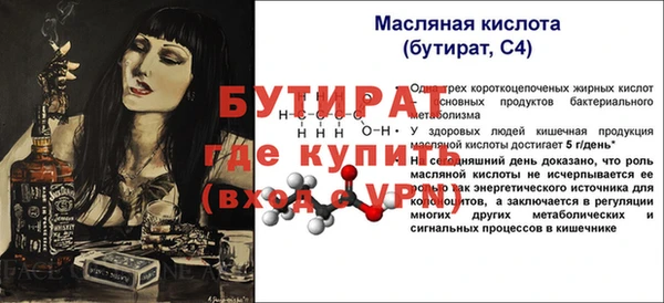 гашик Дмитров