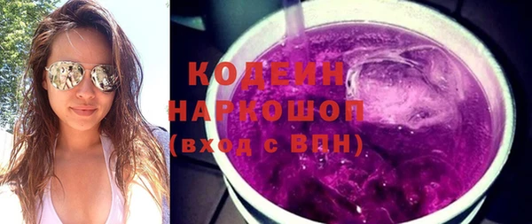 гашик Дмитров