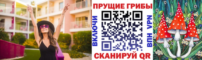 Галлюциногенные грибы GOLDEN TEACHER  Купить где  Ильский 